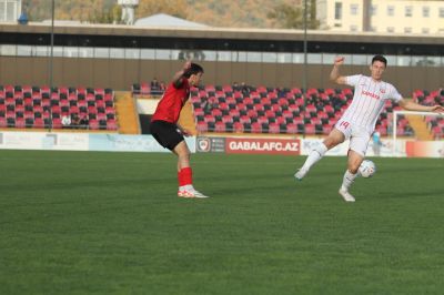 Kuzmanoviç:
