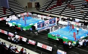 Avropa çempionatı: daha 2 boksçumuz yarımfinalda